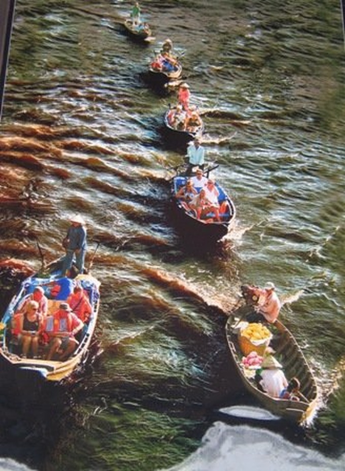 Mekong Delta’s vitality in pictures - 7