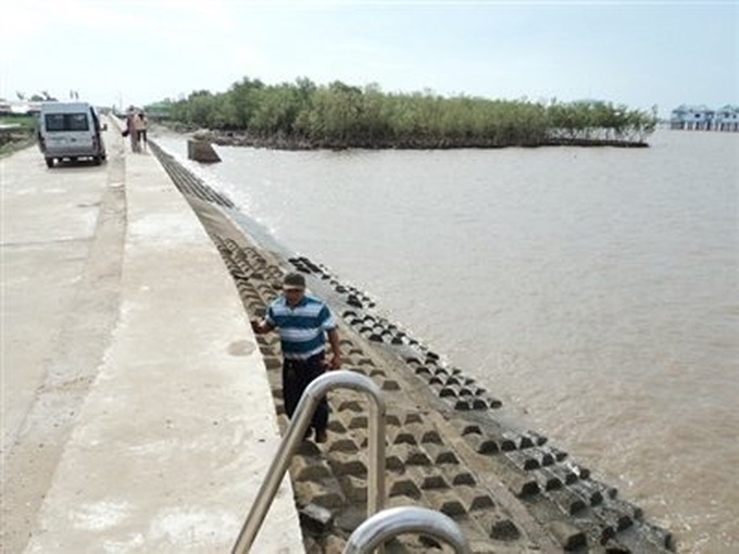 Forest is dying, sea is marching into mainland - 1