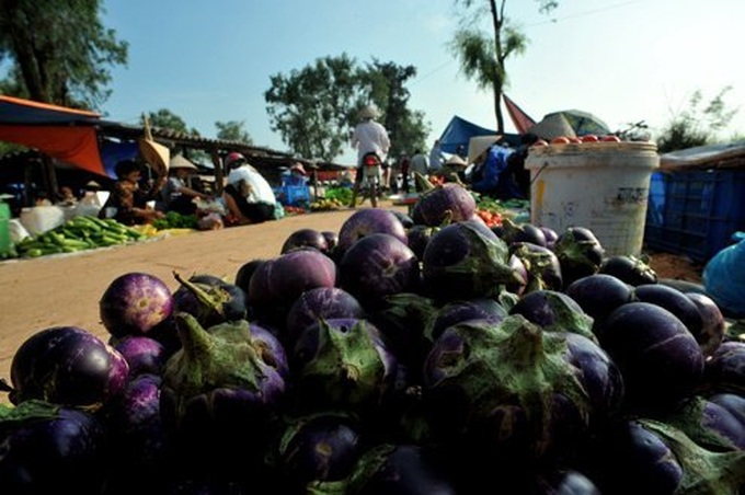 A rural market amid Hanoi - 6