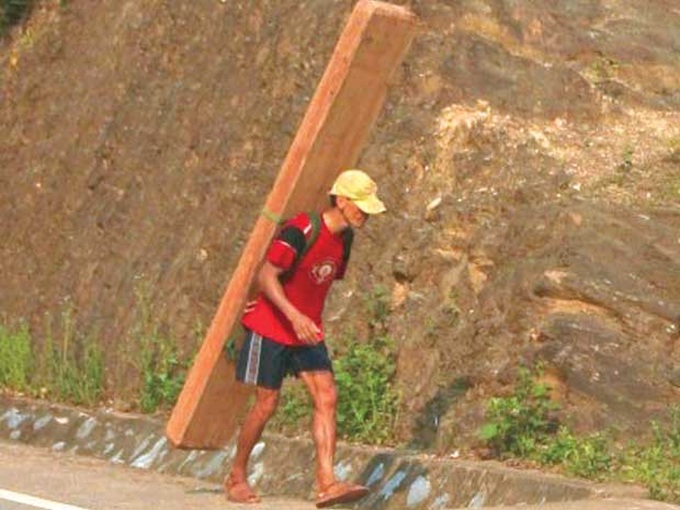 Chinese merchants hunting for precious wood in central region - 1