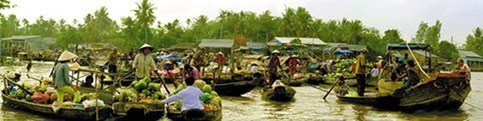 Exuberant orchards in Mekong Delta - 16 Exuberant orchards in Mekong Delta - 16