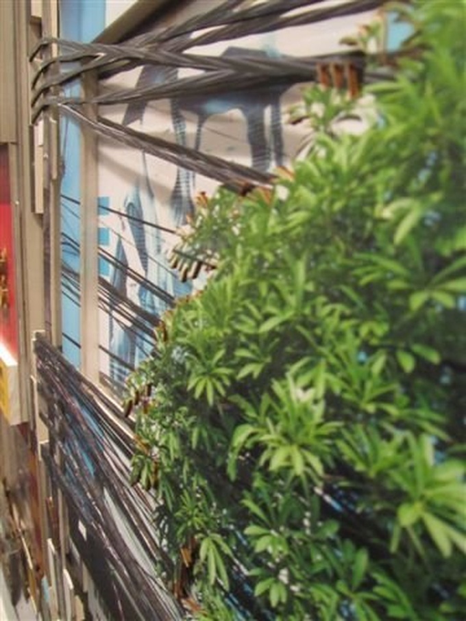 “Hanoi’s houses facing the street” appear in Beijing - 6