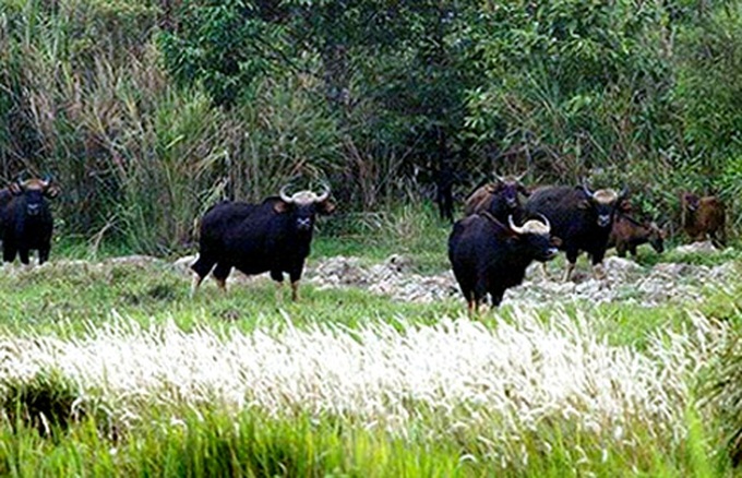 National parks and biosphere reserves in danger - 1