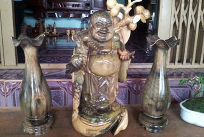 Dak Lak: Rushing to hunt discoloring wood - 1 Dak Lak: Rushing to hunt discoloring wood - 1