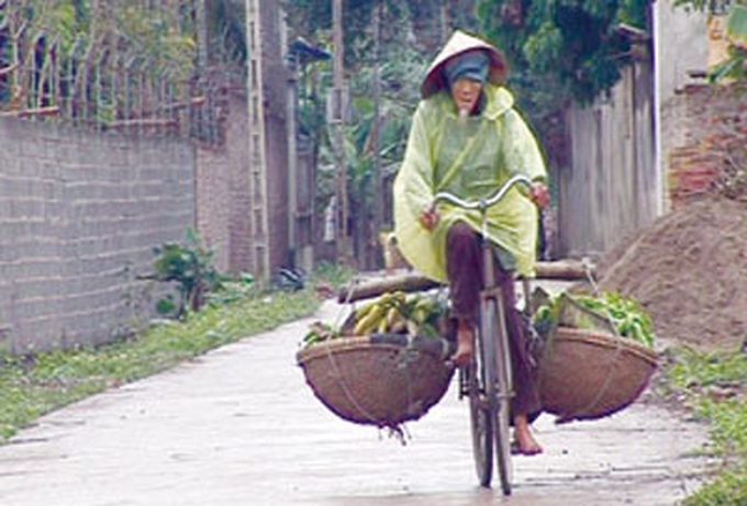 HCM City readies to host anthropology film fest - 1 HCM City readies to host anthropology film fest - 1