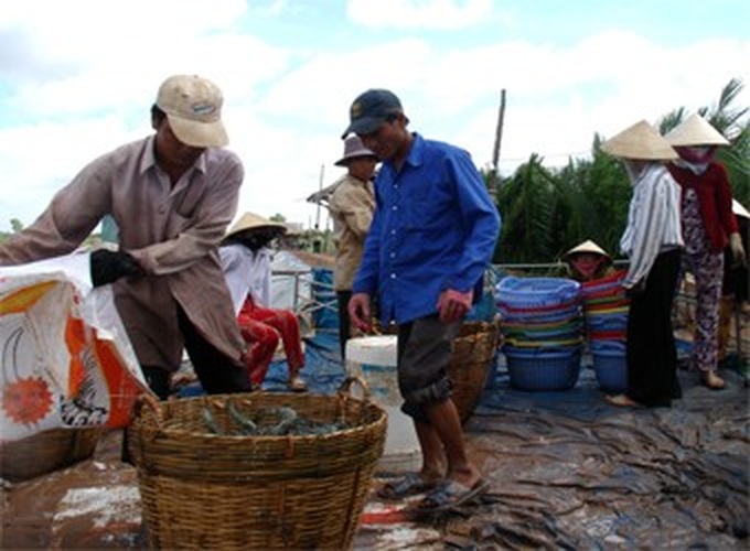 Pollution chases, besieges, kills aquaculture - 1 Pollution chases, besieges, kills aquaculture - 1