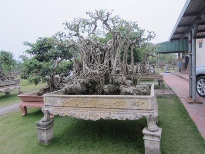 Tet provides perfect burglary opporutnity - 1