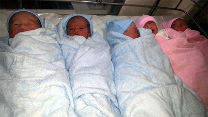 Rare quintuplets born at HCM City hospital - 1