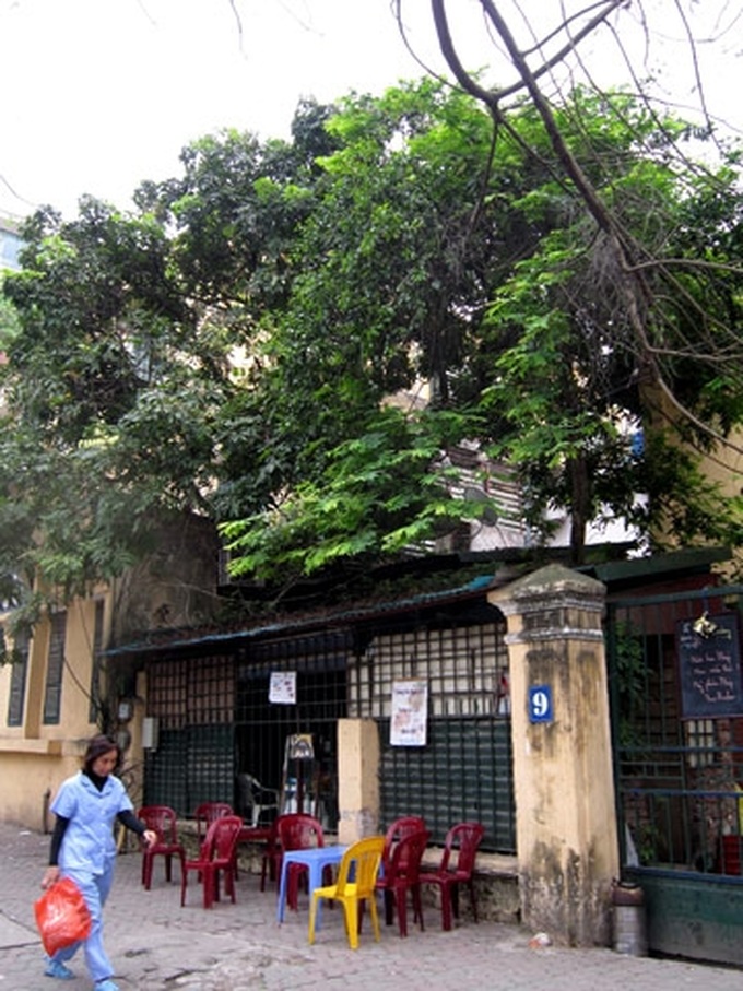 Overcrowded Hanoi maintains trees - 5