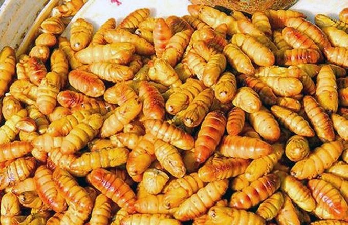 Slippery snacks of Vietnam - 5 Slippery snacks of Vietnam - 5