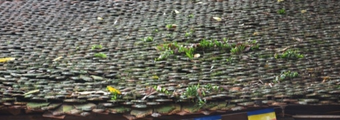 Hanoi’s One-pillar Pagoda faces serious deterioration - 3