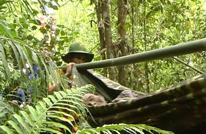 Quang Ngai police save father and son living in forest for 40 years - 2 Quang Ngai police save father and son living in forest for 40 years - 2