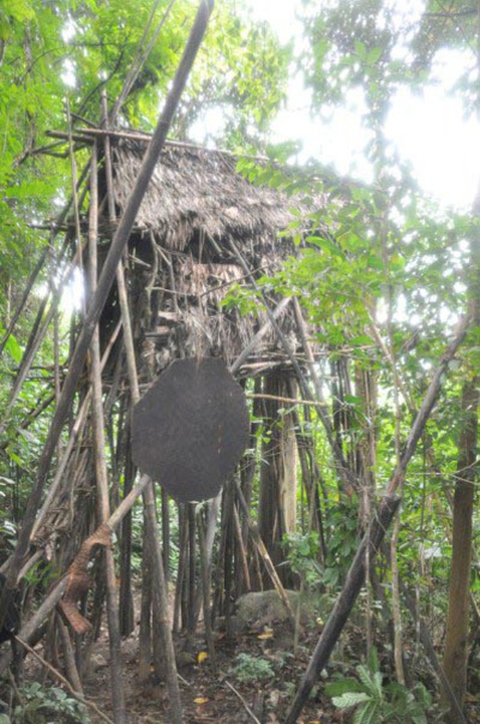 Quang Ngai police save father and son living in forest for 40 years - 4 Quang Ngai police save father and son living in forest for 40 years - 4