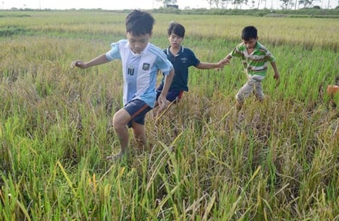 Rats hunted for special dishes in Hanoi - 2