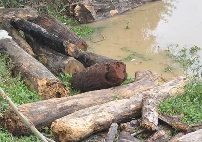 People search for lumber after floods - 3