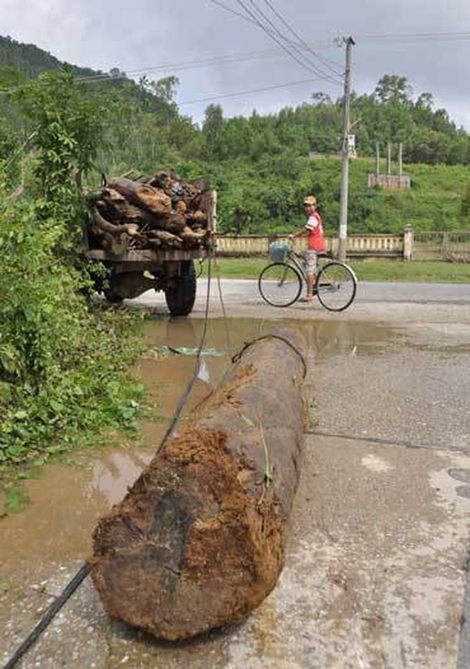 People search for lumber after floods - 5