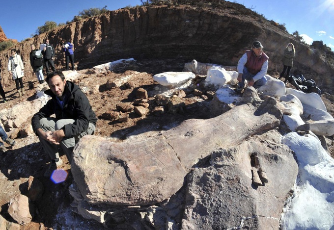 ‘World’s biggest dinosaur’ discovered in Argentina - 2 ‘World’s biggest dinosaur’ discovered in Argentina - 2