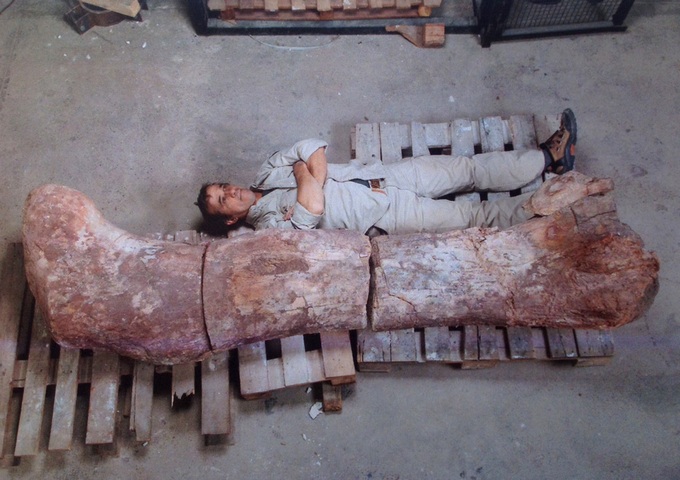 ‘World’s biggest dinosaur’ discovered in Argentina - 1 ‘World’s biggest dinosaur’ discovered in Argentina - 1