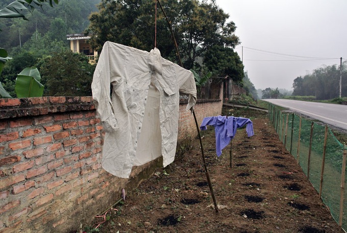 Scarecrows for mice on Vietnamese fields - 4