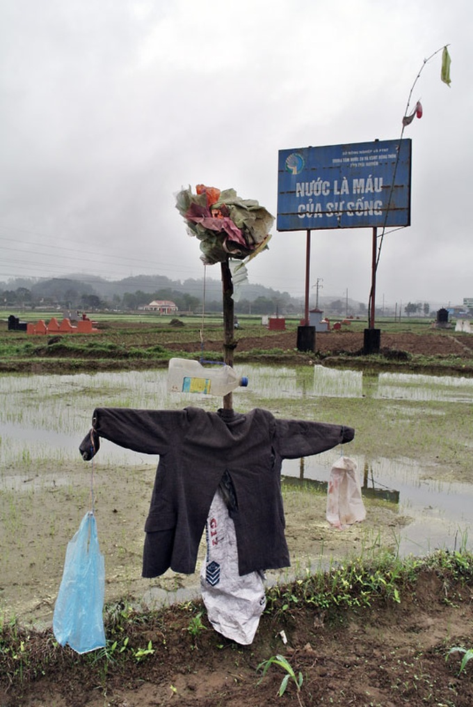 Scarecrows for mice on Vietnamese fields - 5