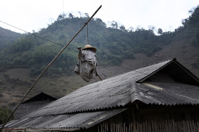 Scarecrows for mice on Vietnamese fields - 9