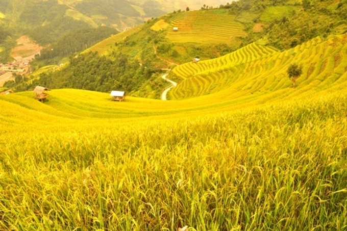 Breathtaking terraced rice fields of Mu Cang Chai - 7