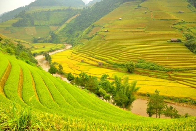 Breathtaking terraced rice fields of Mu Cang Chai - 1