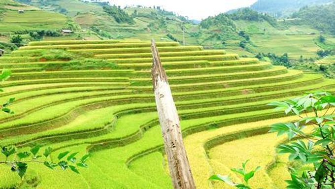 Breathtaking terraced rice fields of Mu Cang Chai - 4