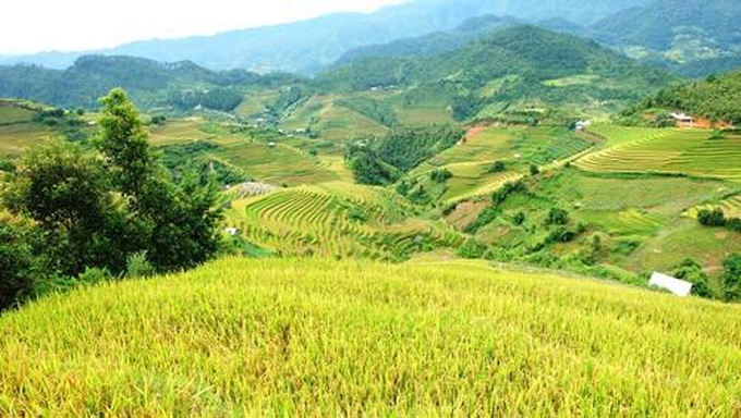 Breathtaking terraced rice fields of Mu Cang Chai - 8