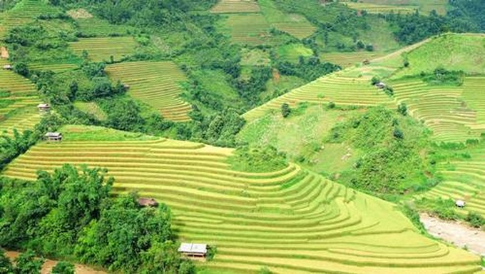 Breathtaking terraced rice fields of Mu Cang Chai - 9