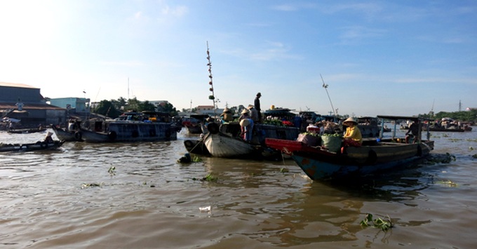 Beauty of the Mekong Delta region during flood season - 1