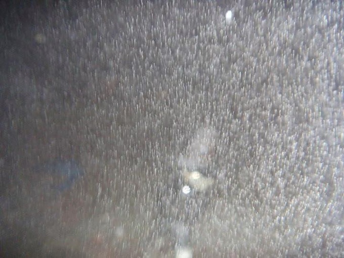 Snow falls in Sapa - 8 Snow falls in Sapa - 8