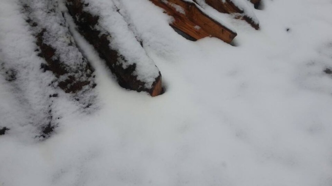 Snow falls in Sapa - 10 Snow falls in Sapa - 10