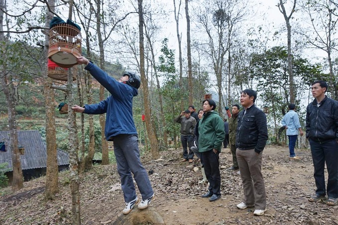 Sweet sounds of Lao Cai Province bird market - 4