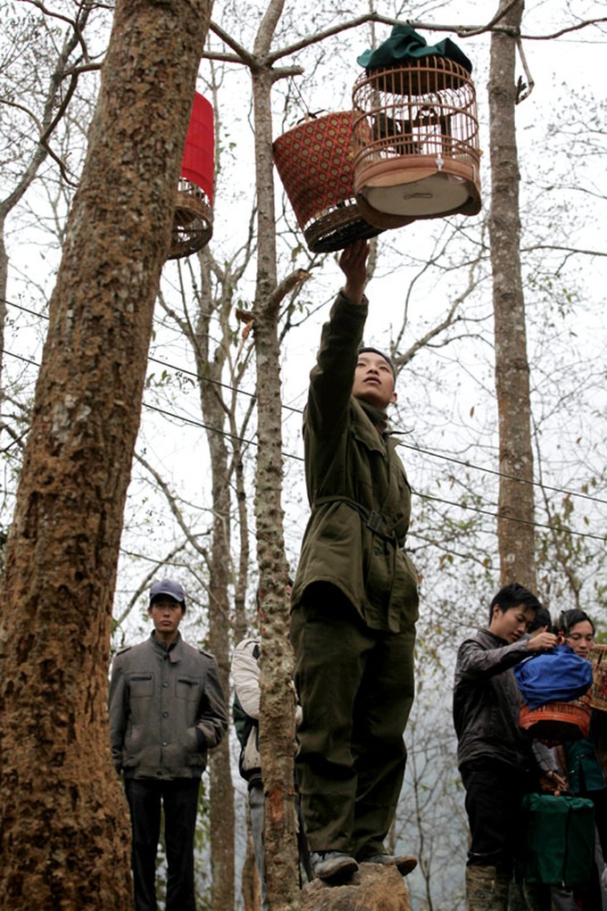 Sweet sounds of Lao Cai Province bird market - 5
