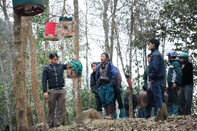 Sweet sounds of Lao Cai Province bird market - 9