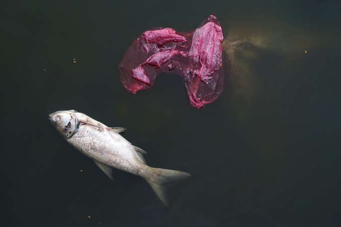 Pollution threatens Hanoi's West Lake - 6