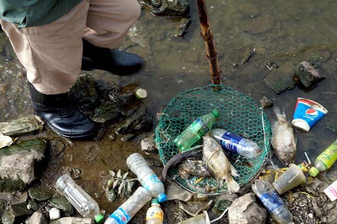 Pollution threatens Hanoi's West Lake - 2