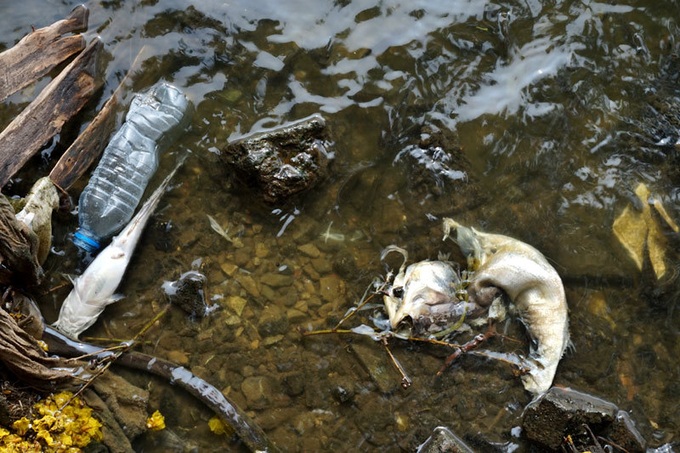 Pollution threatens Hanoi's West Lake - 3