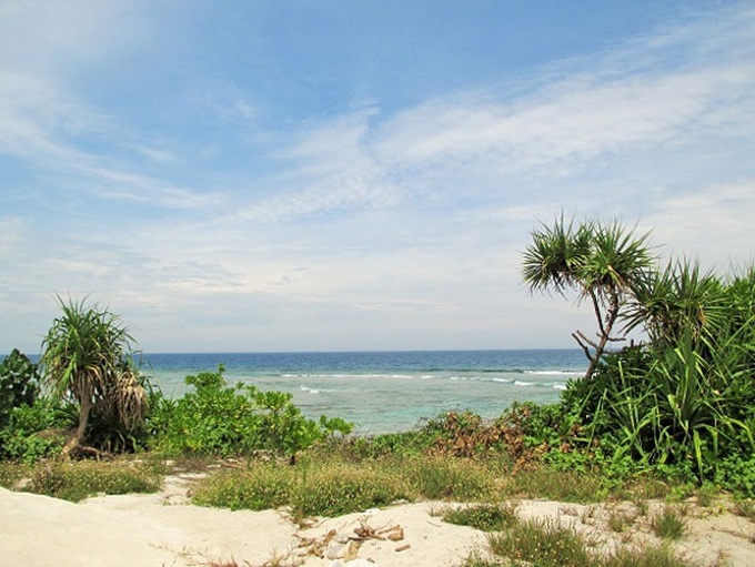 Touring the An Binh Islands by boat - 7 Touring the An Binh Islands by boat - 7