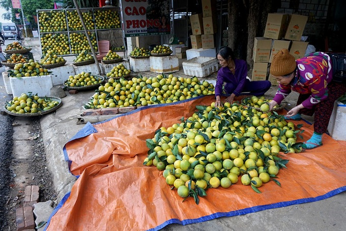 Oranges bring in juicy profits for farmers - 2