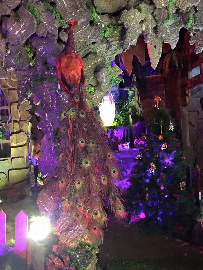 People flock to singer's sparkling Christmas home - 9 People flock to singer's sparkling Christmas home - 9