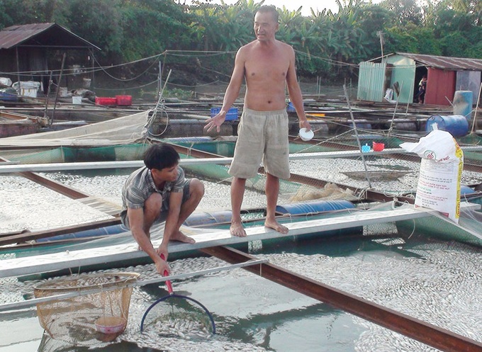 Fish die en mass on Dong Nai River - 1