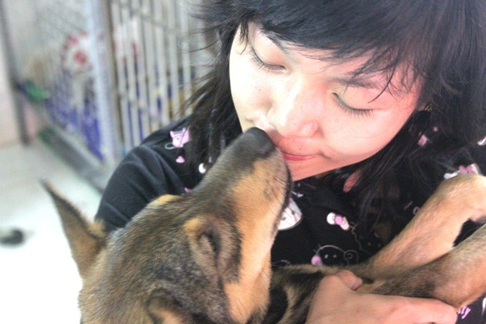 Young woman runs foster home for neglected animals - 10