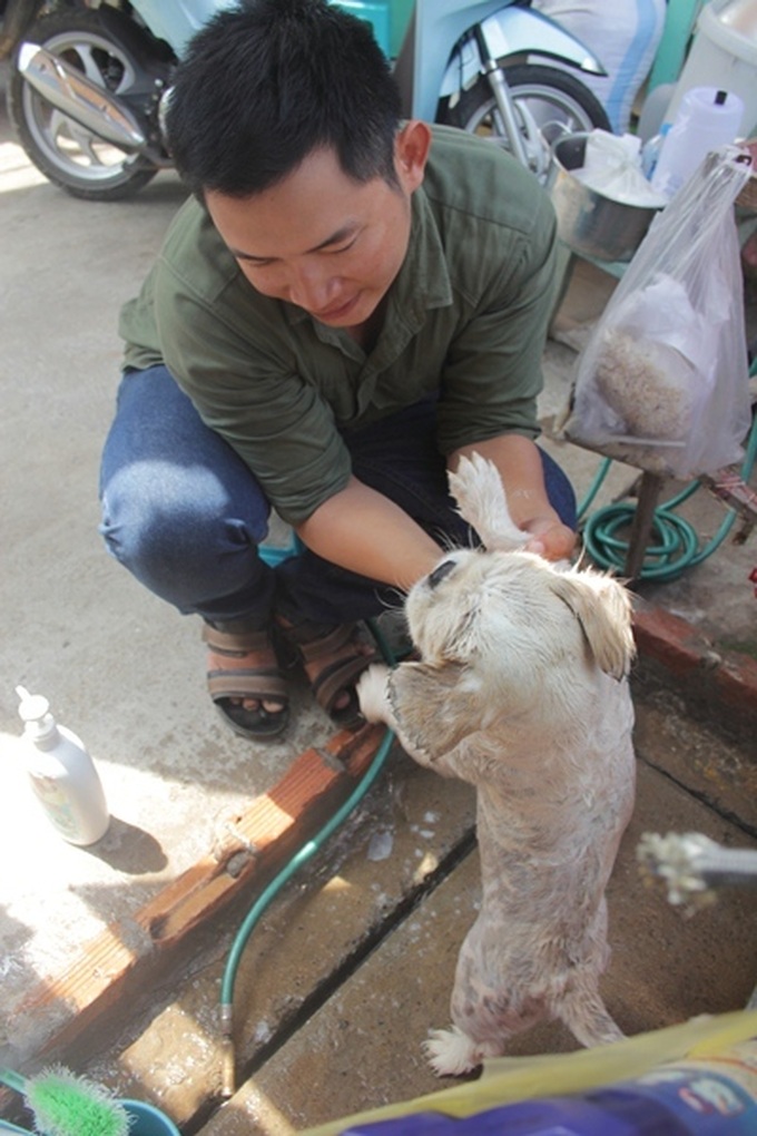 Young woman runs foster home for neglected animals - 7