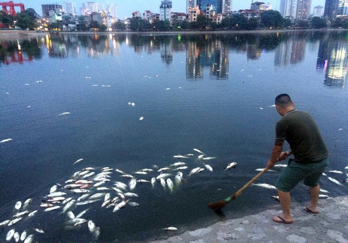 Tonnes of fish die in Hanoi lake - 4
