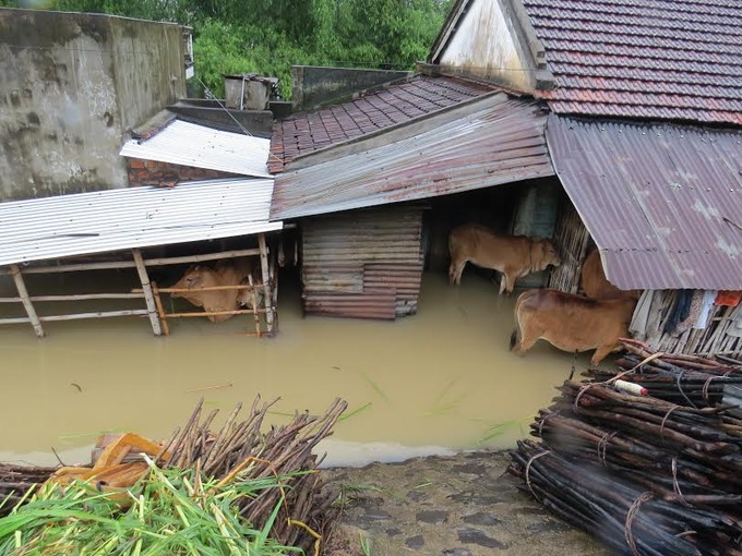 15 killed in floods in central and Central Highlands regions - 2