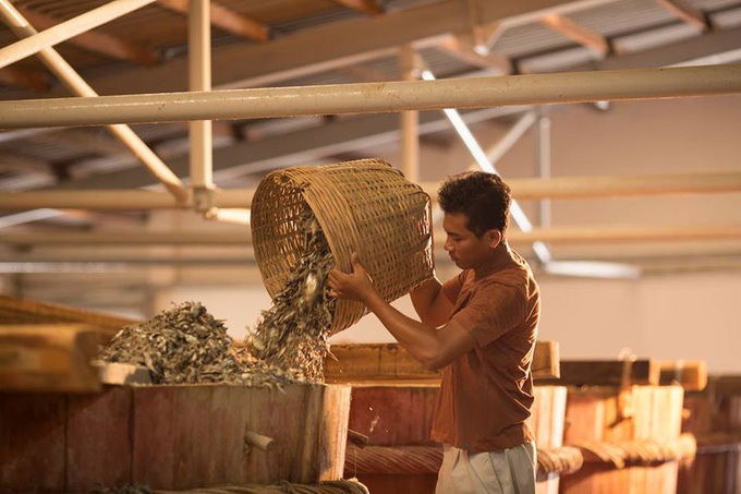 Phu Quoc fish sauce recognised as traditional craft - 1 Phu Quoc fish sauce recognised as traditional craft - 1