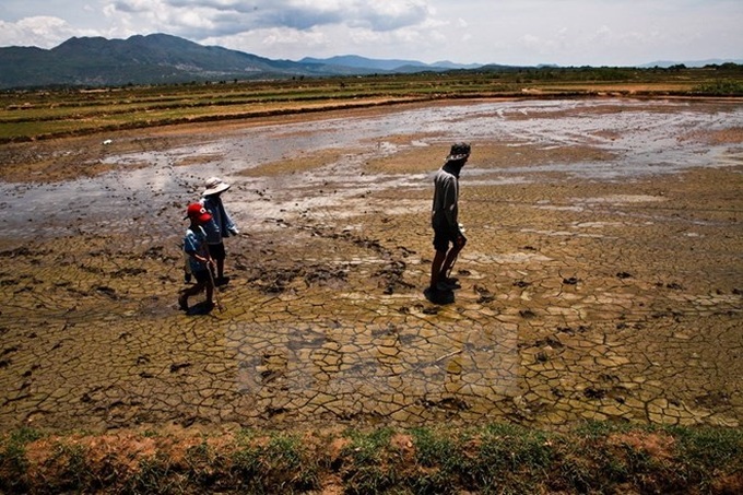 Vietnam at risk of sea desertification - 1 Vietnam at risk of sea desertification - 1