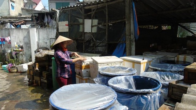 Seafood traders still count cost of Formosa disaster - 2